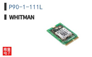 P90-1-111L ͼƬ